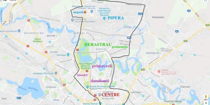 Café / Visite Virtuelle Quartier PIPERA