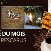 Café du Mois chez Pescarus
