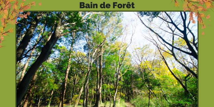 Bain de Fôret