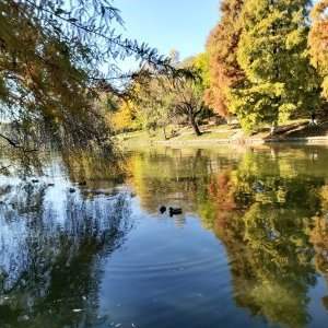 Marche Lac Herastrau