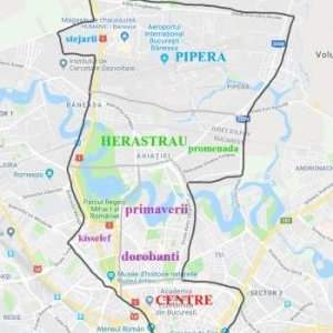 Café / Visite Virtuelle Quartier PIPERA