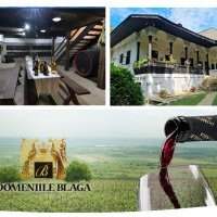 Excursion dans la Prahova entre Musées et Vignoble