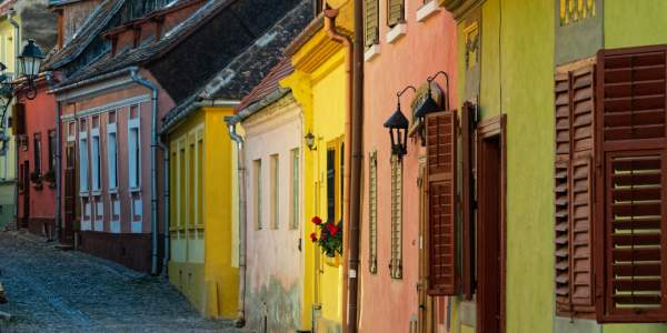 Visites & Conférences