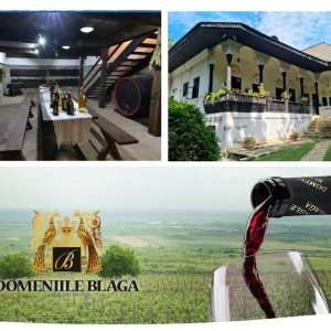 Excursion dans la Prahova entre Musées et Vignoble